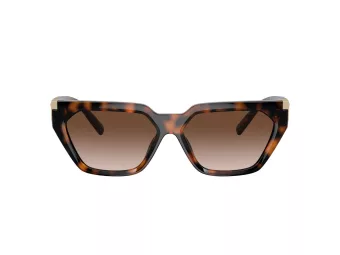 Tiffany Solglasögon TF 4205U 80153B
