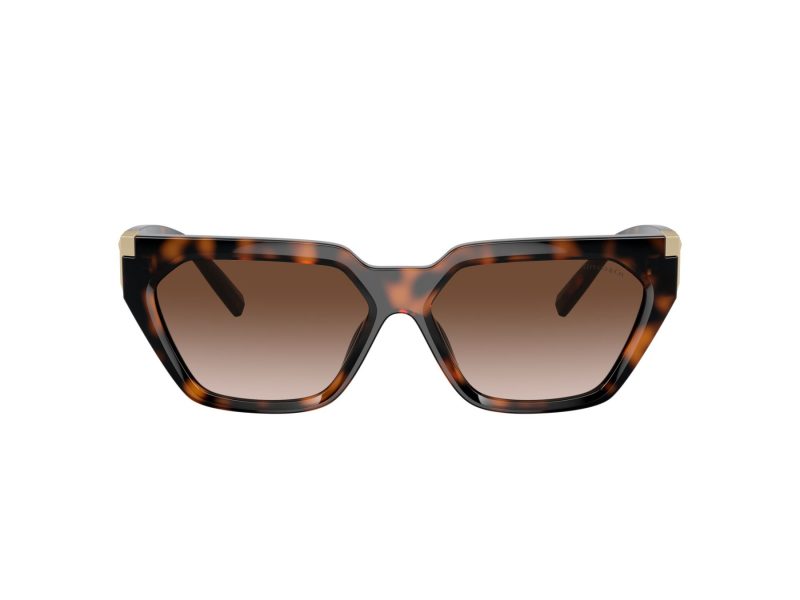 Tiffany Solglasögon TF 4205U 80153B