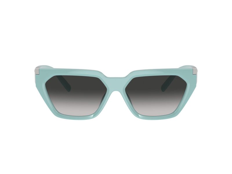 Tiffany Solglasögon TF 4205U 83883C