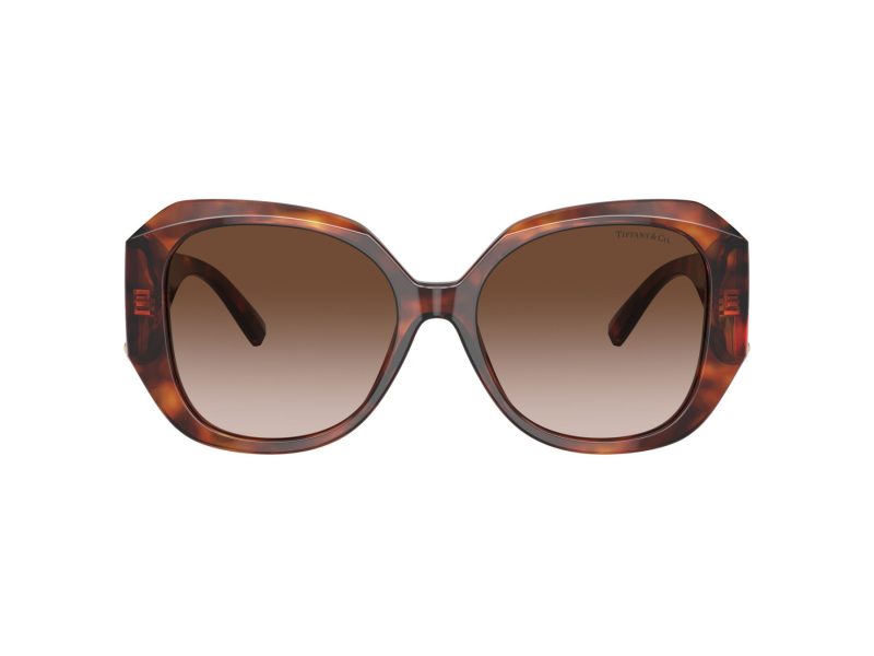 Tiffany Solglasögon TF 4207B 80023B