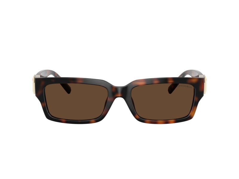 Tiffany Solglasögon TF 4226U 80153G