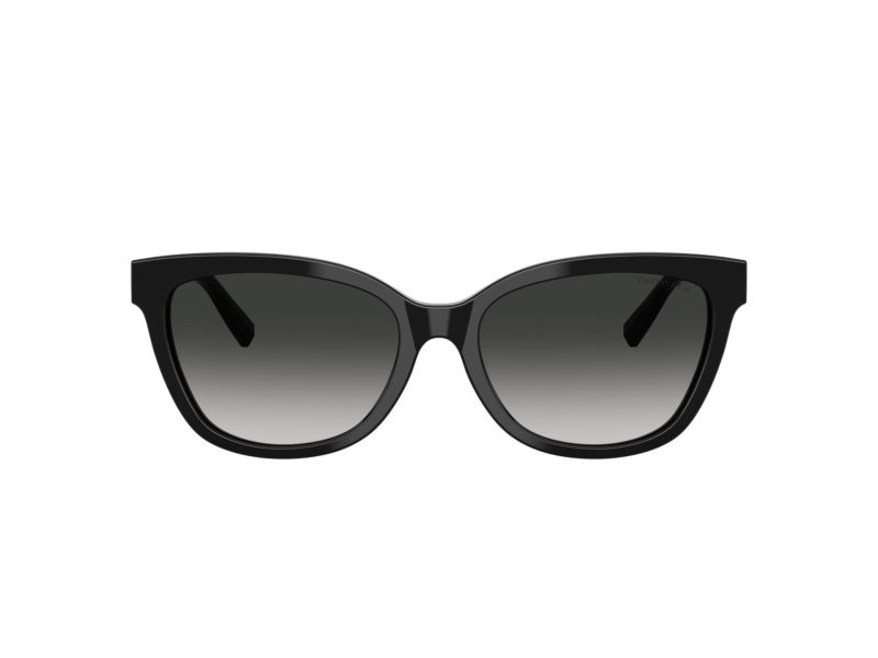 Tiffany Solglasögon TF 4237B 80013C