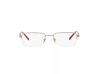 Versace Glasögon VE 1066 1053