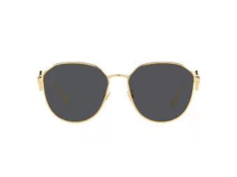 Versace Solglasögon VE 2259D 100287