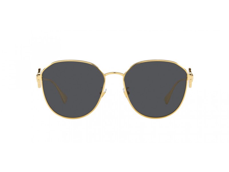 Versace Solglasögon VE 2259D 100287