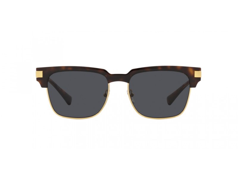 Versace Solglasögon VE 4447 108/87