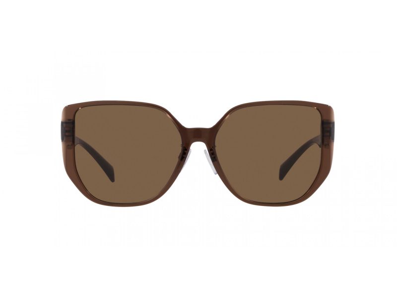 Versace Solglasögon VE 4449D 541673