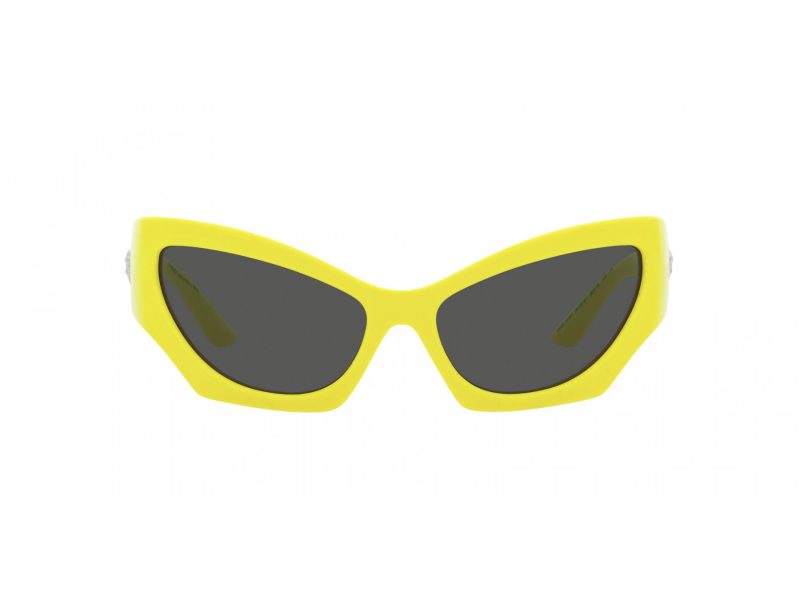 Versace Solglasögon VE 4450 541887