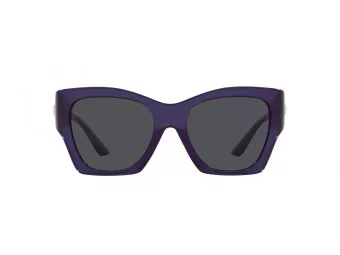 Versace Solglasögon VE 4452 541987