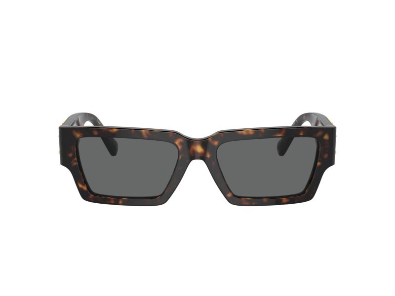 Versace Solglasögon VE 4459 108/87