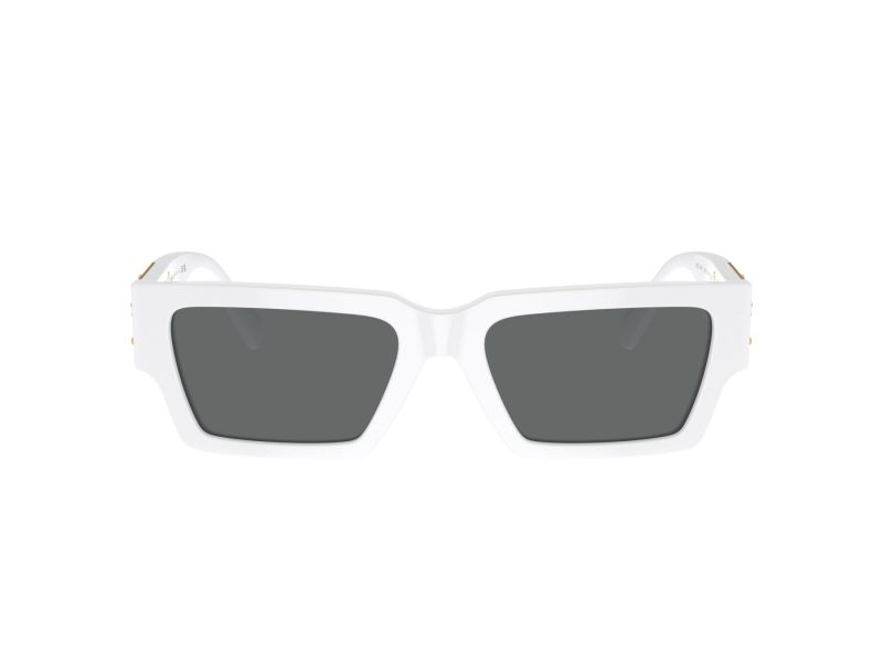 Versace Solglasögon VE 4459 314/87