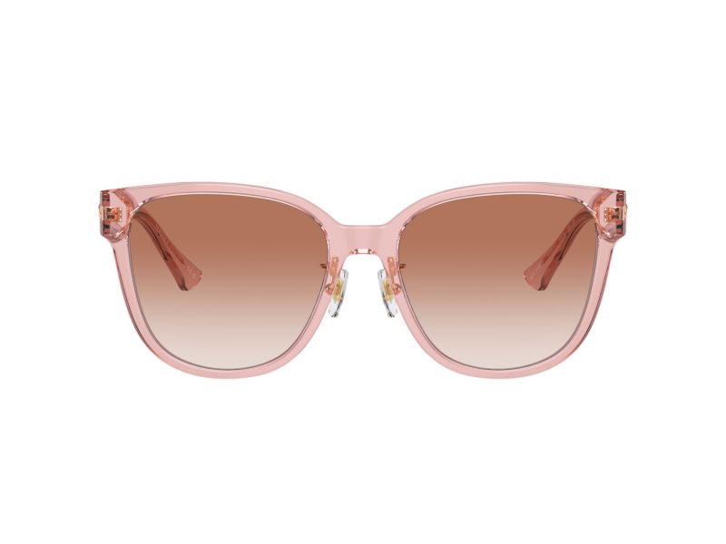 Versace Solglasögon VE 4460D 543413