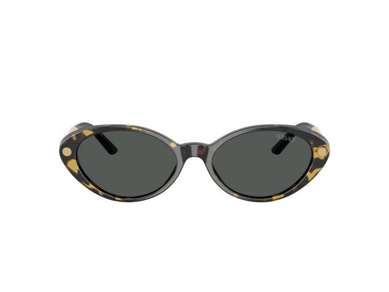 Versace Solglasögon VE 4469 547087