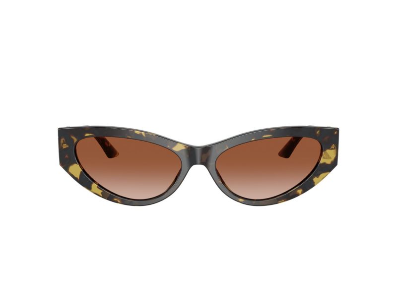 Versace Solglasögon VE 4470B 547013