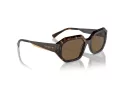 Vogue Solglasögon VO 5554S W65673