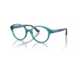 Vogue Glasögon VY 2025 3068