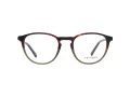 Zac Posen Warren Glasögon Z WAR SF